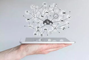 數(shù)字營(yíng)銷革命引領(lǐng)中國(guó)制造邁向中國(guó)品牌租賃服務(wù)