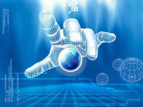 OEM獨(dú)立部署系統(tǒng)開(kāi)發(fā)與租賃服務(wù) 企業(yè)數(shù)字化轉(zhuǎn)型的靈活之選